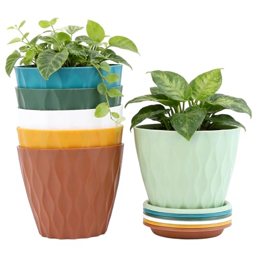 Generico Macetas para plantas | Juego de 6 macetas de orquídeas | Maceta para interior | para casa, oficina, cocina, baño, dormitorio, balcón, terraza, alféizar de ventana o invernadero