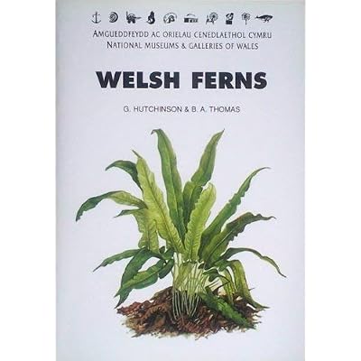 Welsh Ferns, Clubmosses, Quillworts and Horsetails