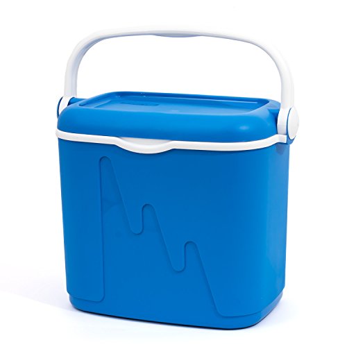 Curver Cool Box (32 litry)