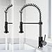 VIGO Edison 19'' H Single Handle Pull-Down Sprayer Kitchen Faucet in Stainless Steel and Matte Black-VG02001STMB