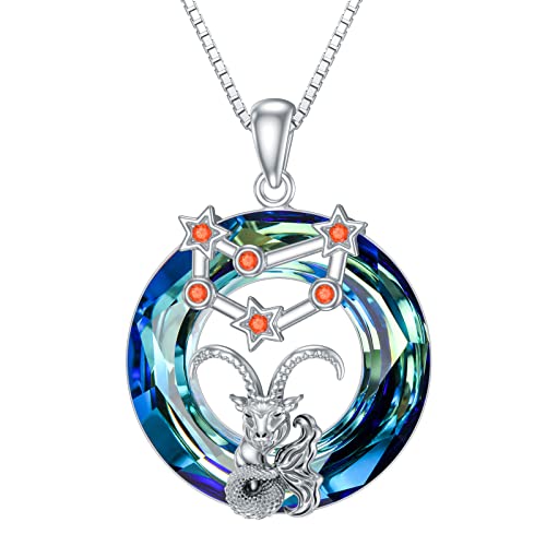 enjoylifecreative Capricorn Zodiac Sign Crystal Necklace 925 Sterling Silver Birthstone Constellation Pendant Chain Horoscope Astrology Jewellery Gifts for Women