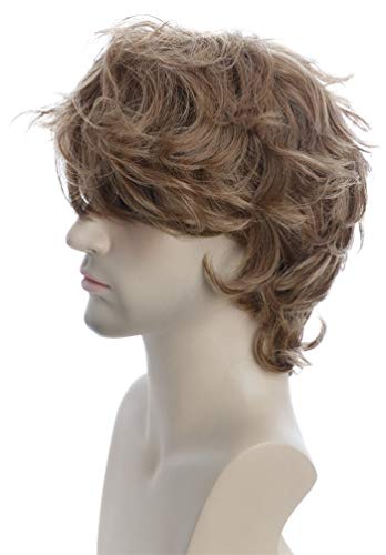 Karlery Male Mens Short Curly Fluffy Brown Wig With Bang Halloween Cosplay Wig #TOP1
