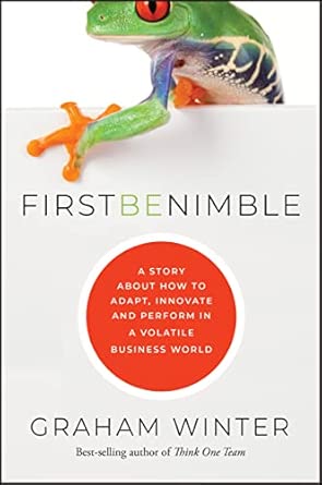 First Be Nimble: A Story About How to Adapt, Innovate and Perform in a Volatile Business World book cover