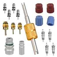 SIGANDG Klimaanlagenventilkernsatz, A/C-Kühlsystem R12 und R134a Ventilkern, AC Ventilkern Service Port Dichtstopfen Werkzeug,zum Entfernen von A/C Ventilkern Serviceventile