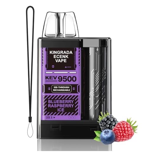 Ecenk Vaper Sin Nicotina 9000 Caladas Pod desechable Vaper Cigarrillo Electrónico Recargable Desechables Vaper, 10 Sabores (Arándano Frambuesa Hielo)