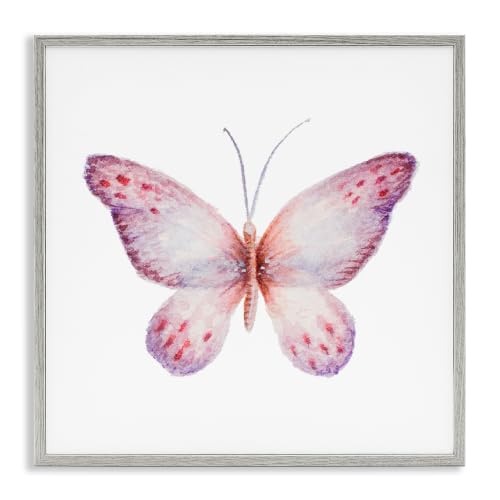 Delicate Butterfly Insect Illustration, 12 x 12 Inch Framed Giclée Print