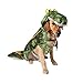 Leowow Pet Halloween Costume Cosplay Crocodile Clothes for Small Medium Large Dogs-S