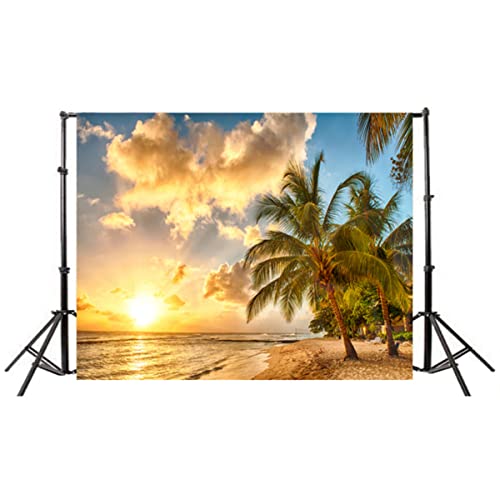 fondale marino panno da parete di sfondo di per foto della spiaggia da con foto