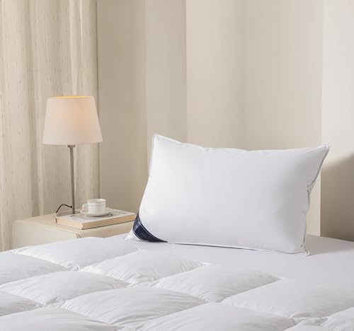 Littens Luxury Extra Filled White Duck Feather & Down, Side Sleeper Pillow 230TC 100% Cotton Down-Proof, Piped Edge, 48cm x 74cm (19 x 29) 1400 gram