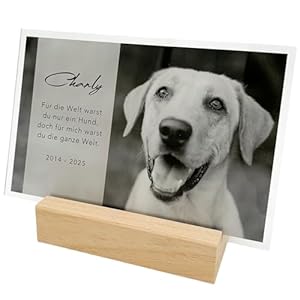 Del Mà Andenken Gedenktafel Hund 13x20 cm