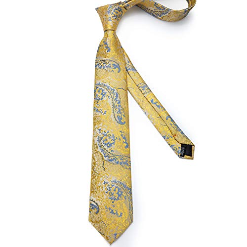 Image of DiBanGu Silk Ties for Men Necktie and Lapel Pin Brooch Set Formal Woven Paisley Plaid Striped Solid Tie Wedding Party