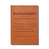 Buchhalter Leder Notizbuch für Frauen Männer Auditor Geschenk Buchhaltung Major Geschenke CPA Abschluss Geburtstag Geschenke für Freunde Finanzgeschenk (Buchhalter)