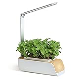 Esta maceta inteligente tiene luz azul y luz roja, lo que tiene diferentes efectos en las plantas.
