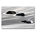 Produktbild CALVENDO Premium Textil-Leinwand 90 x 60 cm Quer-Format Lavasteine am Strand/Island, Leinwanddruck von Marcel Schäfer