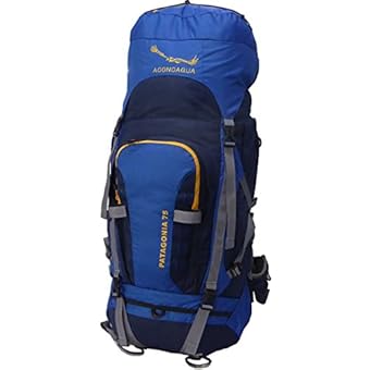 アコンカグア 大型リュックサック Patagonia パタゴニア 75l 登山リュック ザック レインカバー付き 山道具の評価 レビュー 写真 ヤマレコ