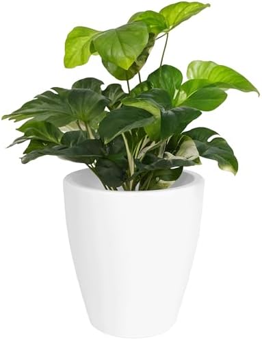 Elly Décor 12" Round Outdoor Planter