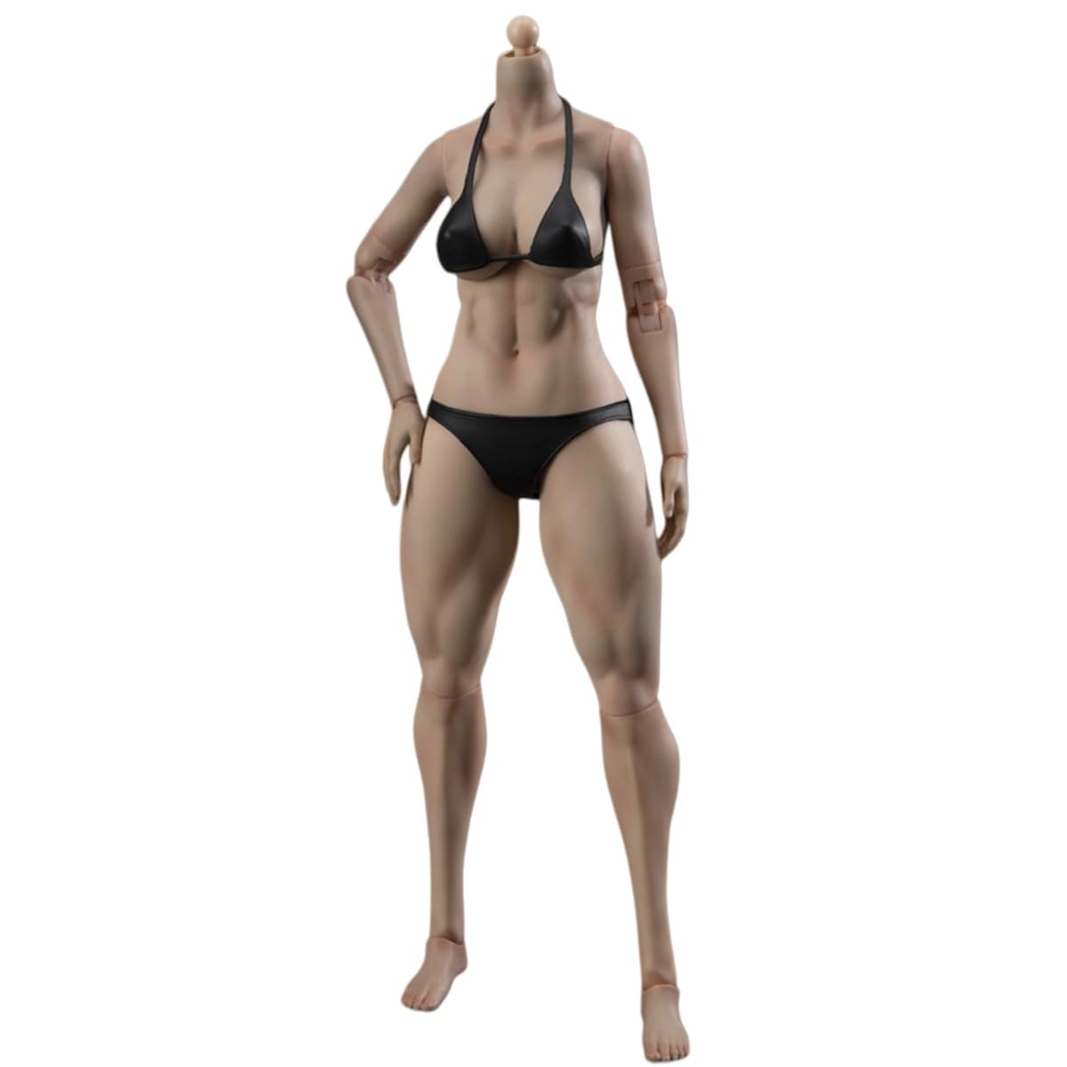 Amazon | HiPlay True1Toys 1/6 筋肉質レッグ 関節素体 女性 EC3030 大