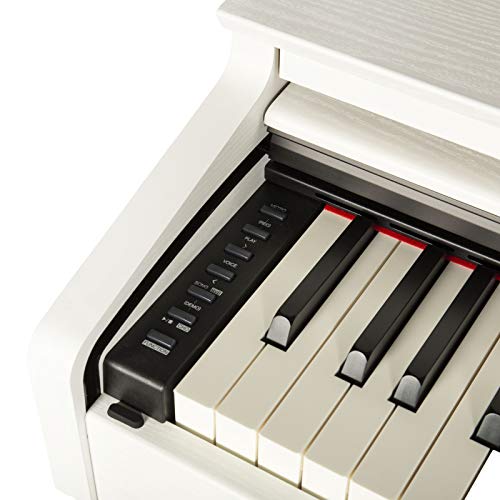 Fame DP-3000 WH – Piano numérique - Les Beatles, Paul McCartney, John Lennon, RIngo Starr, George Harrison Fame DP-3000 WH - Piano numérique – Image 5