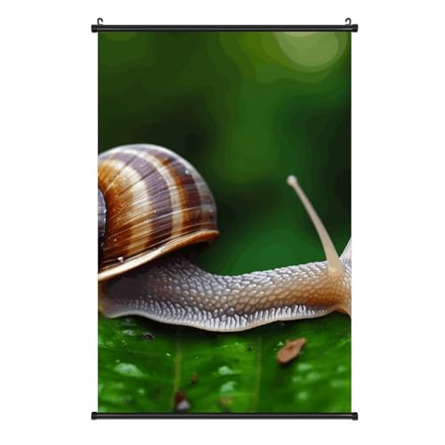 Poster escargot deco interieure impression sur toile