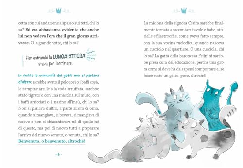 Non Sono Un Gatto! - 7