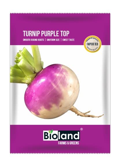 BIOLAND Turnip Purple Top (Shalgam Beej) Seeds for Sowing Purpose for Home/Kitchen Garden (B0B4HDQYGR) Amazon Price History, Amazon Price Tracker