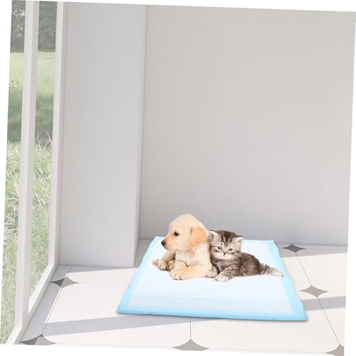 Tapis d'apprentissage pour chiens super absorbant