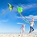 2P Kites,Large Green Kite and Mollusc Octopus with Long Tail, Big Kite for Beginners Outdoor Game,Beach Trip Great Gift to Kids Childhood Precious Memories (Kites-Green)