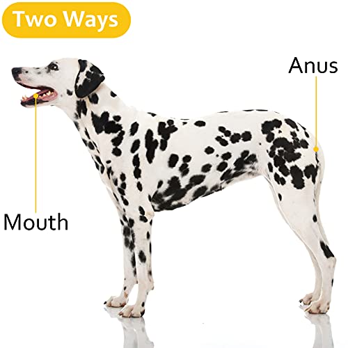 Hzran Pet Veterinary Thermometer, Pet Accurate Fever Detection Thermometer, Animal Temperature Monitor, Fast Read Digital Veterinary Thermometer For Dog, Cat, Horse, Pig, Rabbit, Hamster, Guinea Pig. #TOP2