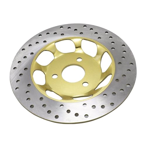 Disque de frein moto 220 mm résout le manque de mordant sur Z50 Trail