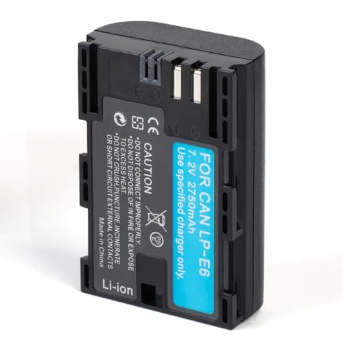 YUEFANSEN LP E6 Batería para LP E6N Cargador batería Compatible con Canon EOS 5D Mark II, DS Mark III, 5D Mark IV, 5DS, 5DS R, 6D, 7D, 7D Mark II, 7D Mark III, 80D, 70D, 60D cámara