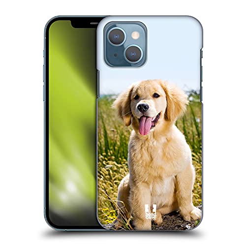 Copyright:Golden Retriever cucciolo- Mat Hayward/Shutterstock