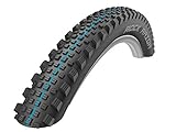 Schwalbe