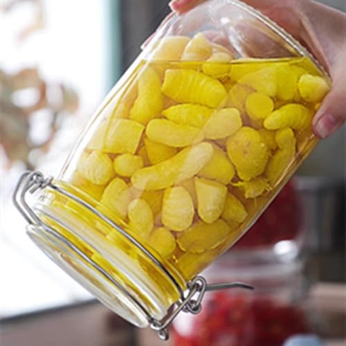 QZKJQDD 10 Stück Einmachgummiringe, Silikon Glasdichtungen Ersatz, Gummiringe für Gläser, Gummiringe Für Weckgläser, Gläser Gummiringe Silikon, für Einmachgläser Weckgläser Bügelgläser (70x95mm)