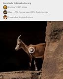 GardePro A5 Wildkamera 64MP 1296P H.264 Video, Wildkamera mit Bewegungsmelder Nachtsicht bis 30m...