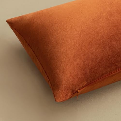 Image of MIULEE Pack of 2 Rust Pillow Covers 20x20 Inch Fall Decorative Velvet Throw Pillow Covers Modern Soft Couch Throw Pillows Farmhouse Home Decor for Sofa Bedroom Living Room