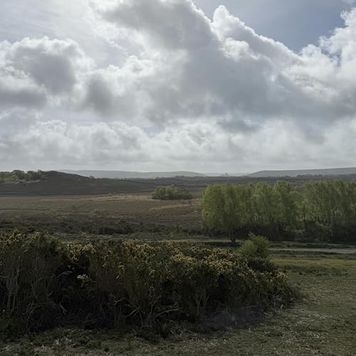 Sound Escape 273. Hear the magic of willow warblers and chaffinches on the Isle of Purbeck