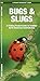 Bugs & Slugs: A Folding Pocket Guide to Familiar North American Invertebrates (Wildlife and Nature Identification)