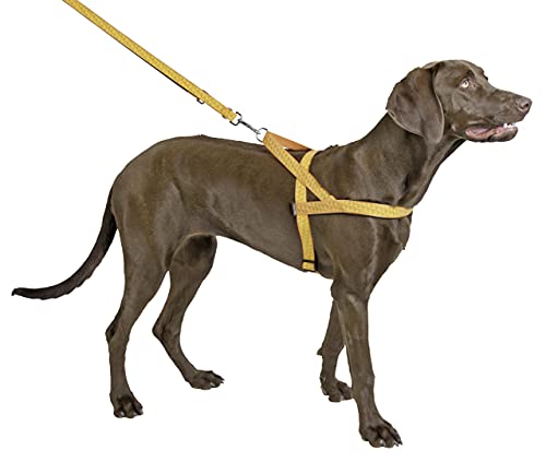 Kerbl Pet 81059 Norweger Geschirr reflektierend 20mmx65-85cm, 0.108 kg