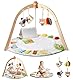 Promise Babe Spielbogen Baby aus Holz Baby Spielmatte Spielbogen Holz Gym 6 Interaktive Sensorik Spielzeug zur Motorik & Sinnesförderung Geeignet für Neugeborene (0–12+ Monate)