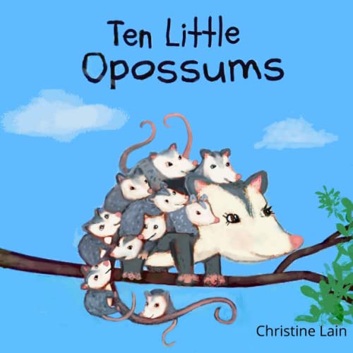 Image of Ten Little Opossums