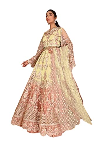 Robe de mariage pakistanaise Anarkali luxe aux fils d'or