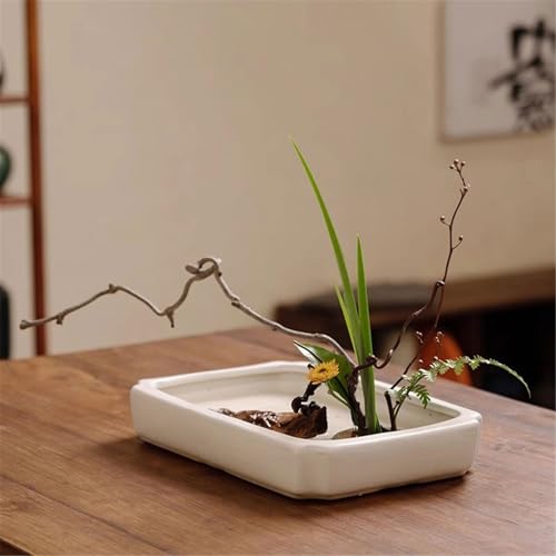 Soucoupe rectangulaire en céramique chinoise pour éviter les taches d'eau des pots - 4
