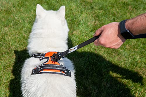 Laisse chien grand qui tire silicone robuste imperméable 1m80 - 7