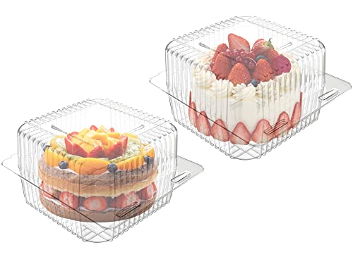 Wanbao 5 X 5 Inch Clear Plastic Take Out Containers,Disposable Clamshell Dessert Container With Lid, 160 Pcs For Salads, Pasta, Sandwiches #TOP2