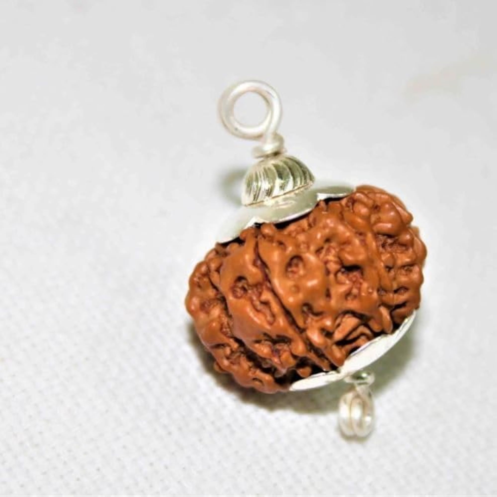 8 Mukhi Rudraksha Nepali Round, Certified