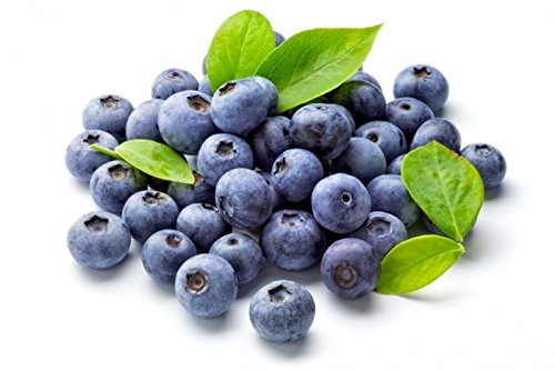 National Gardens Blueberry Fruit Seeds (Pack of 10 Seeds) (B09TZCV668) Amazon Price History, Amazon Price Tracker