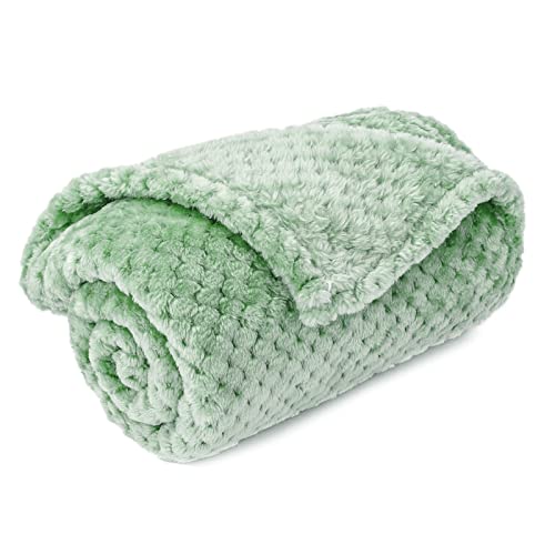 Image of Warm Soft Fuzzy Dog or Cat Blanket, Plush Fleece Throws for Bed, Couch, Sofa, Travel (M /32 inch x 40 inch, Mint)