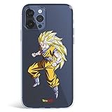 LA CASA DE LAS CARCASAS