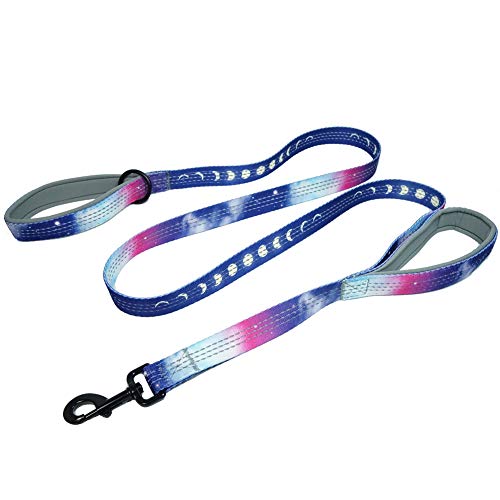 Leashboss Double Handle Dog Leash, Pattern Collection, 6Ft Reflective Dog Leash with Two Padded Handles for Large Dogs or Medium Dogs That Pull (Purple/Pink - Space)