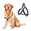 Harness+Leash-Blue1